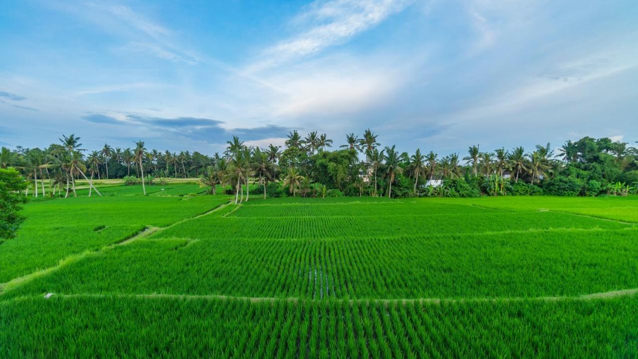 Maruan Sari Leilighet Ubud Eksteriør bilde