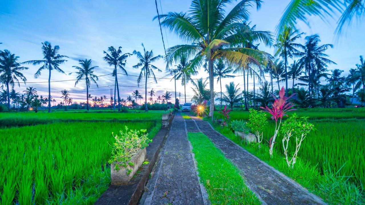 Maruan Sari Leilighet Ubud Eksteriør bilde